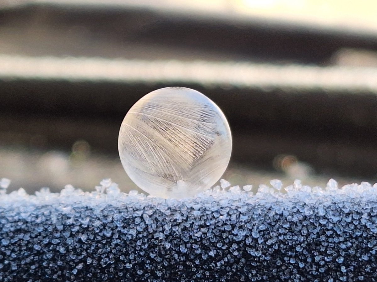blackman_nikki's tweet photo. @LarchwoodPS the boys have been experimenting with bubbles and freezing temperatures with amazing results! 🫧 🧊 🫧 #science #bubblefun #brrrr 🥶 https://t.co/OrJ28dJgYQ