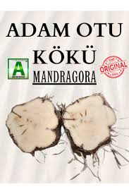 PeaceAtUniverse's tweet image. #LESS10 #BirKelime #Birİşlem #TheLevant  #Kuran #Deprem #ENİGMA
Kur'an-ı Kerim Enigması Adiyat süresi ile İspanyolca bir bakalım
1 Por los corceles jadeantes
2 que hacen saltar chispas
3 Cargan el ALBA
4 LEVENTando, así, una nube de POLVO
5. y ROMpen a través de una hueste!