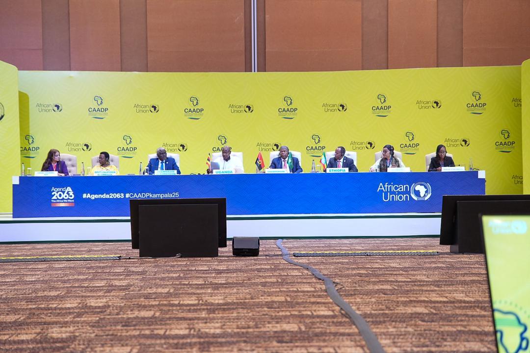 Amb. Josefa Sacko (@josefasacko) on Twitter photo I thank H.E President <a href="/KagutaMuseveni/">Yoweri K Museveni</a> for hosting a successful #CAADPKampala25 his emphasis on the importance of scaling up, #Agro_Processing, Mechanisation, Intra-Africa #Trade among others aligns well with the next 10 year #CAADPKampala Declaration and Strategy I thank H.E President <a href="/KagutaMuseveni/">Yoweri K Museveni</a> for hosting a successful #CAADPKampala25 his emphasis on the importance of scaling up, #Agro_Processing, Mechanisation, Intra-Africa #Trade among others aligns well with the next 10 year #CAADPKampala Declaration and Strategy