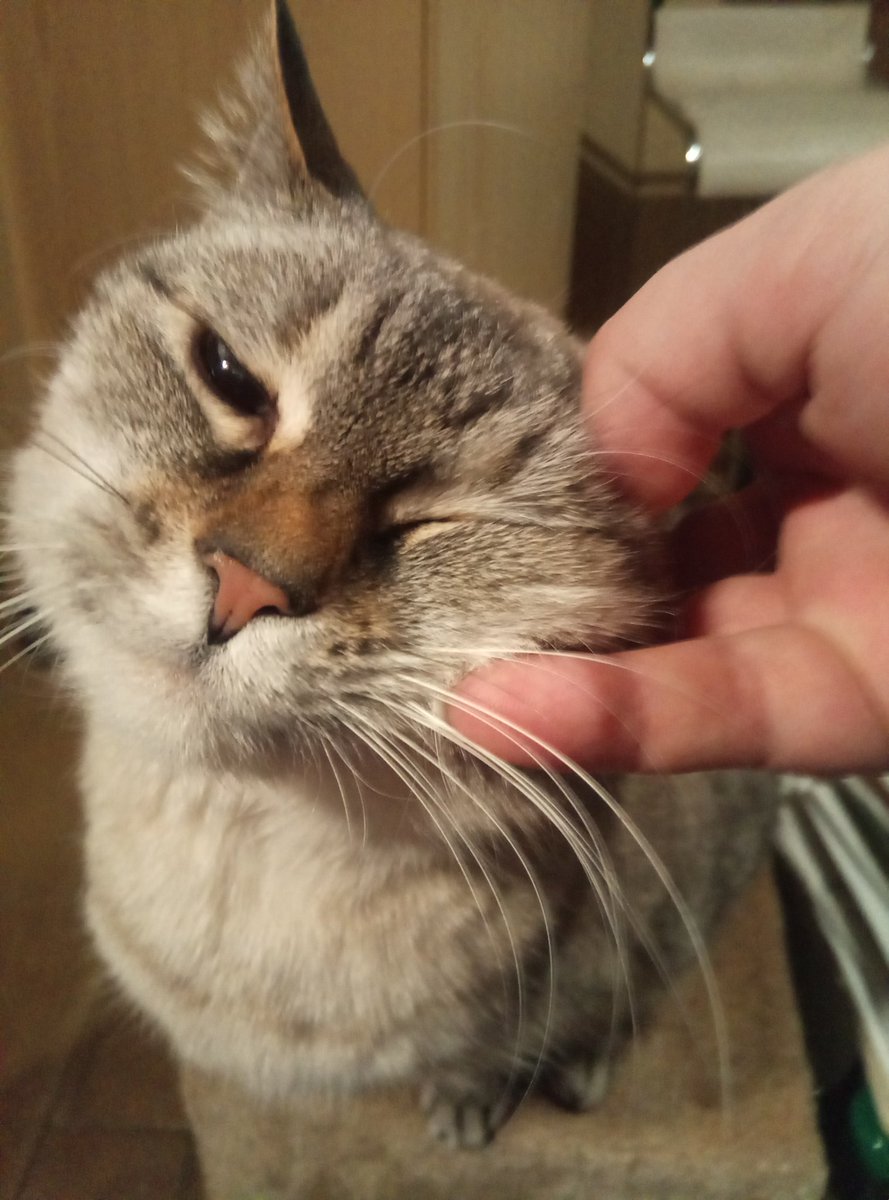 Wink!