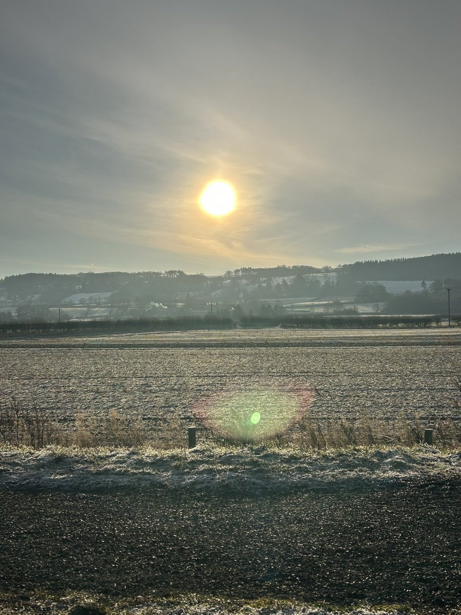 Lovely fresh morning.! ❄️☀️