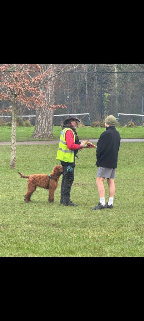 Cardiff Urban Park Rangers tweet media