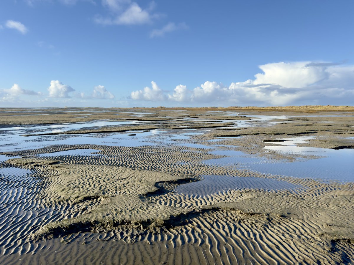 Waddenfotografie (@janhuneman) on Twitter photo 