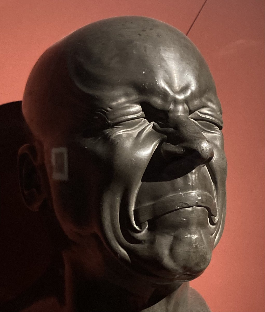 Maud Cucchi tweet media