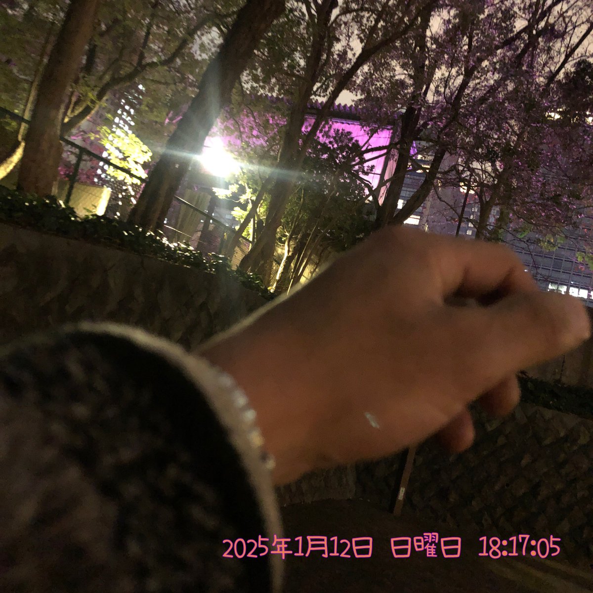 SABIKINOtypeR's tweet photo. 2025年1月12日(日)
～日比谷野外音楽堂～
　BiS解散ライブ「Finale of third BiS」
日比谷野音だから音漏れがスゴイ。
　音だけでも感動した！

　あ、僕、通りすがりの散歩人です・・。

@BiSidol 
#BiS野音 #BiSFinale #BiSidol #BiS
#WACK #WACKiNGTOUR
#日比谷野外音楽堂
#日比谷野音 #日比谷公園 https://t.co/RYxj2N49q6
