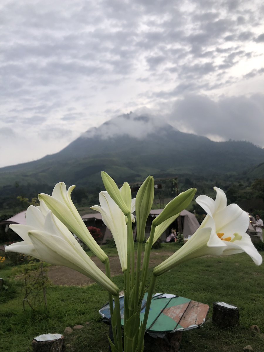 Bukan_Penghianat tweet media