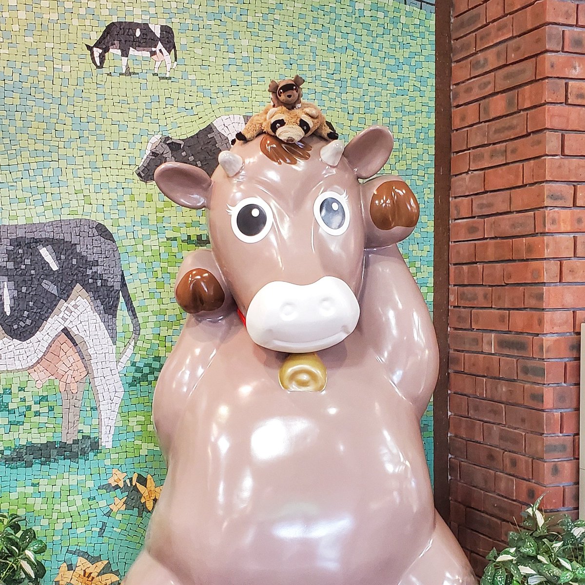 HKStashPanda's tweet photo. cow https://t.co/eDmmPlBa8P