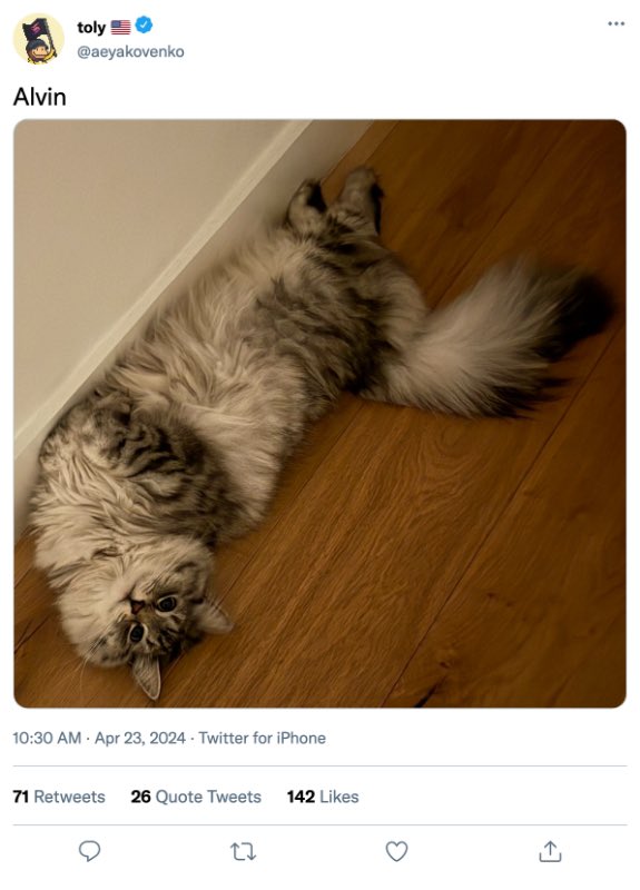 这几天可以关注MEME类的标，昨晚的帽子猫昨晚金狗 $CWH  社区CTO高点  37M，动物meme的情绪有点起来来了，SOL创始人raj的狗 MYRO 高点300M ，SOL创始人TOLY的猫 Alvin 九个月前的老盘子  有人在CTO   可以关注下

4TKe5LExiCEfKf5C4mG4YKquV42TrR79mbfvnsV6hEJk