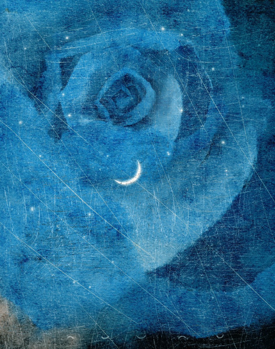 ひみつの夜語り。