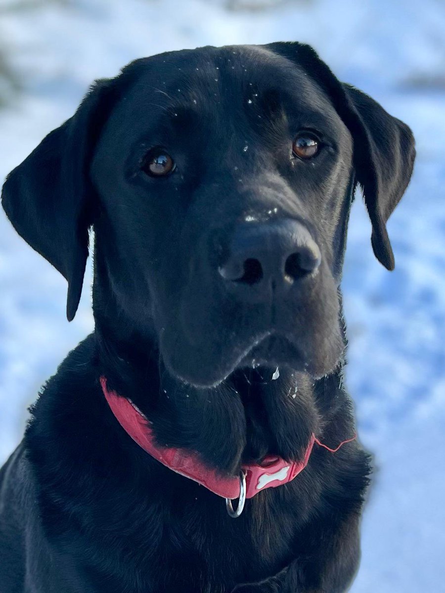 bert mackay tweet media