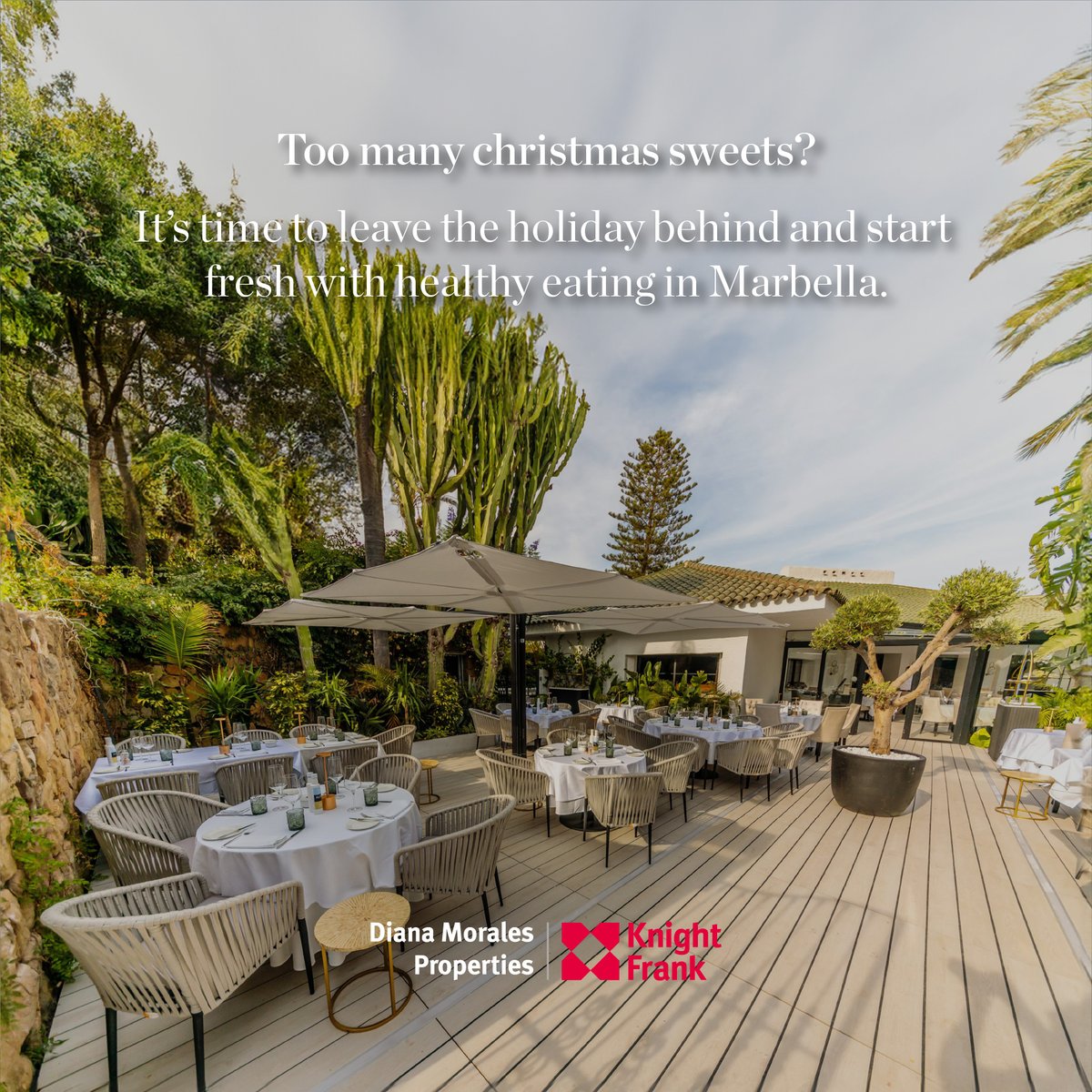 Detox Mode: Healthy Eating in Marbella 

🍃 Discover delights at the finest spots.
🍹 Replenish with revitalizing juices and superfood bowls.
🌱 Indulge in gourmet plant-based dishes.

🔍Check out our guide in our blog: acortar.link/IHuTHI 

#HealthyEating #WellnessGoals