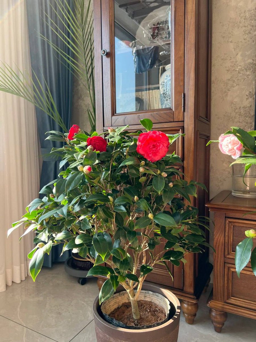 AmirulSeth's tweet photo. May you start a new day with a good mood in the sunshine you see every morning. https://t.co/9N4K0z2qeD