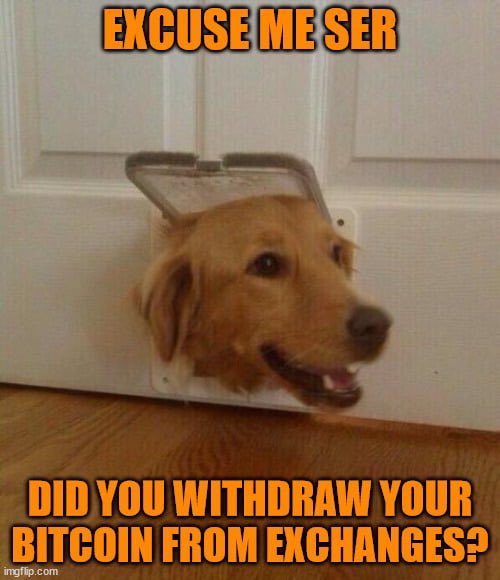 clay 🤡 13% of Bitcoiners ∞/21M ⚡️🟠💊 (@hodlclay) on Twitter photo 