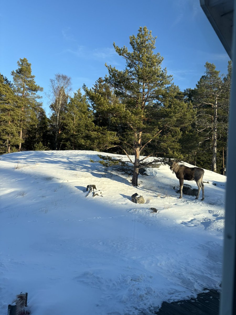 Vi ses på #Bluesky