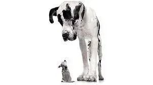 DTNEtiquette's tweet image. Intimidation only works when you give it the power over you...~ #DTN #Intimidators #BulliesBeware #Aggressiveness