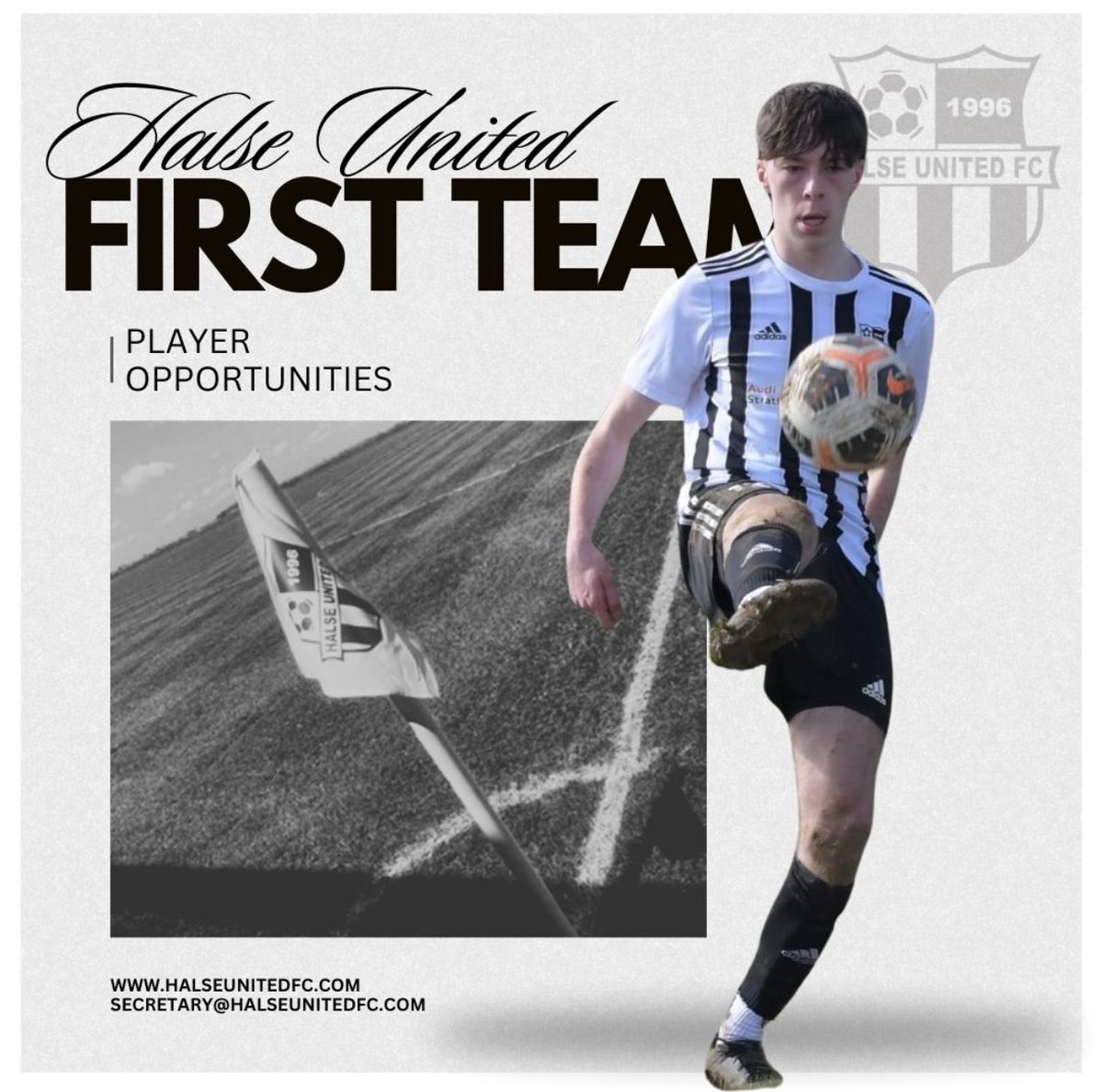 Halse United First Team tweet media