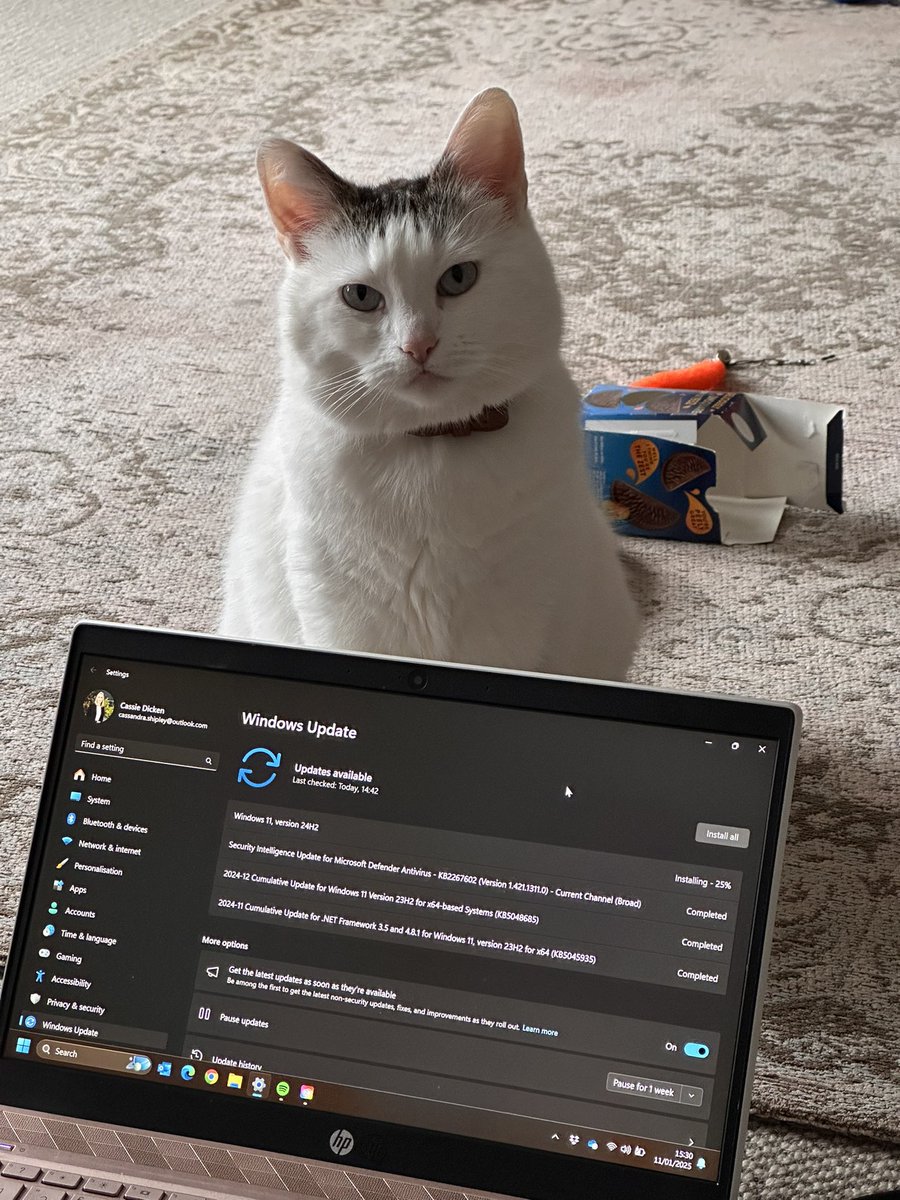 itsmisscassiex's tweet image. The face of unimpressed tech support 😅
#turnitoffandonagain #techkitty #bellawillfixit