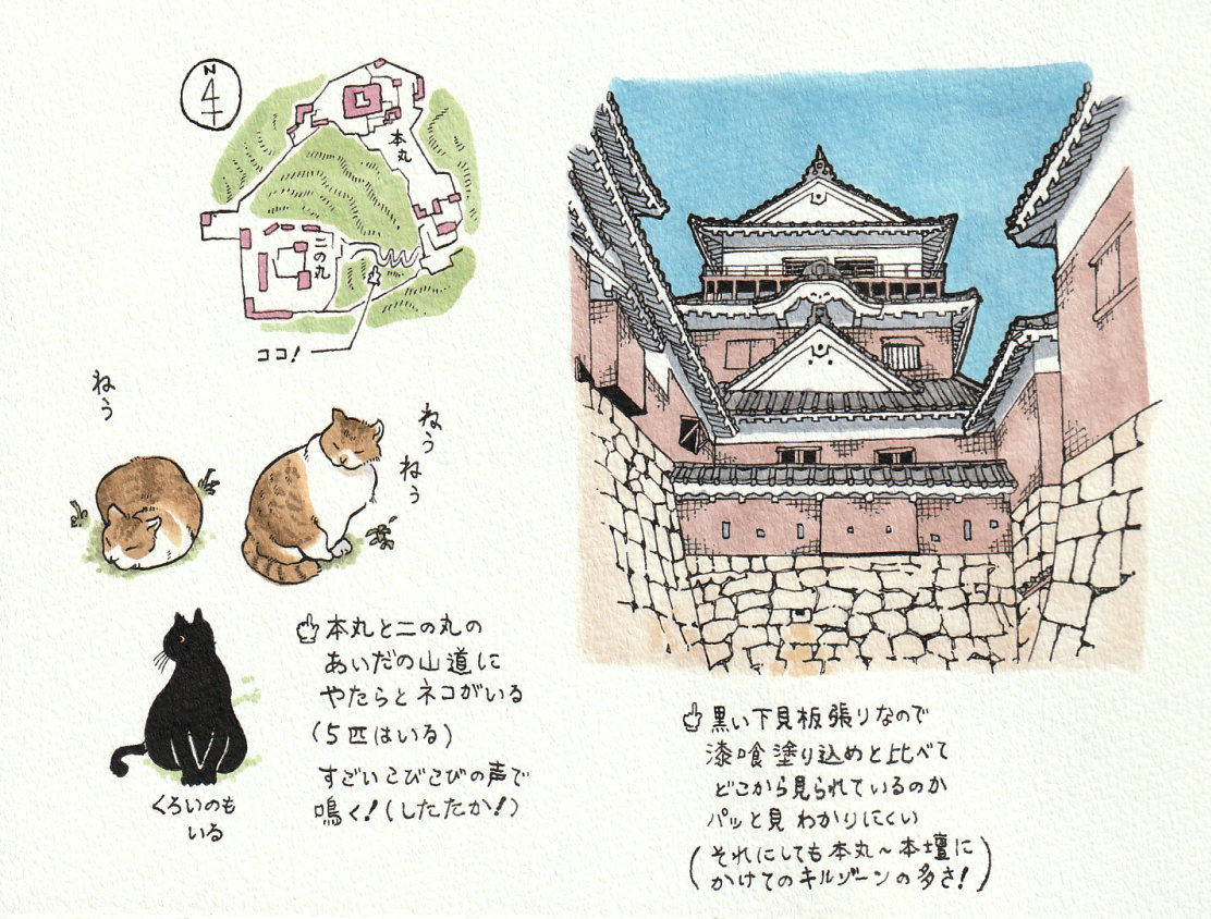 Murmullo_P's tweet image. 松山探訪録です