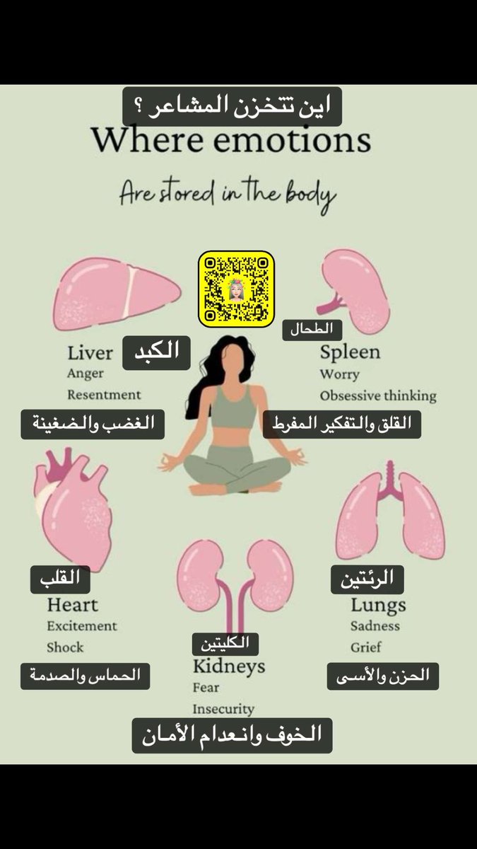i6jn8's tweet photo. -

اين تتخزن المشاعر في الجسد  ؟ https://t.co/iRHFGcoID2