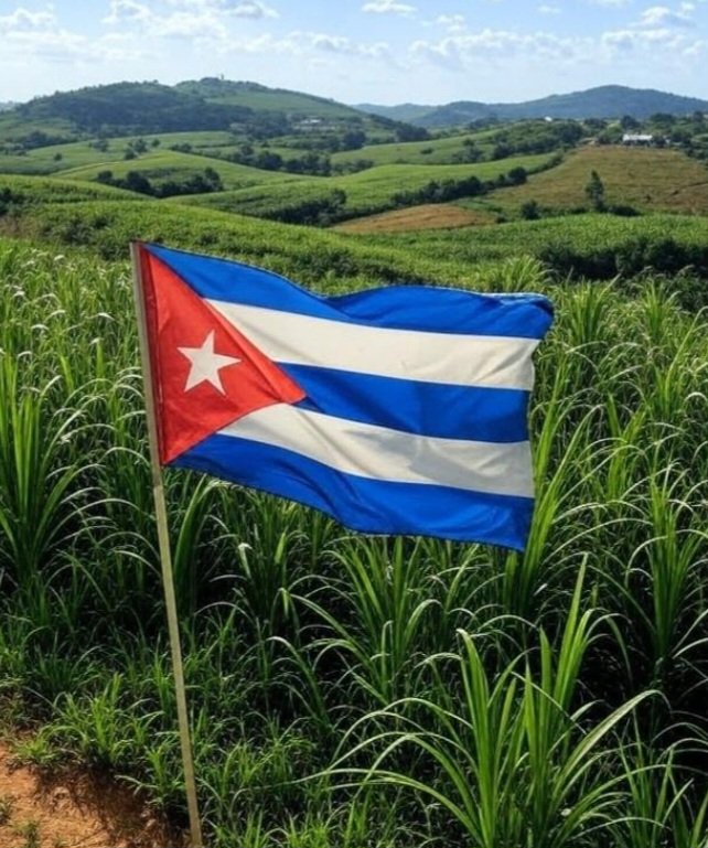 ¡Qué linda es mi bandera!