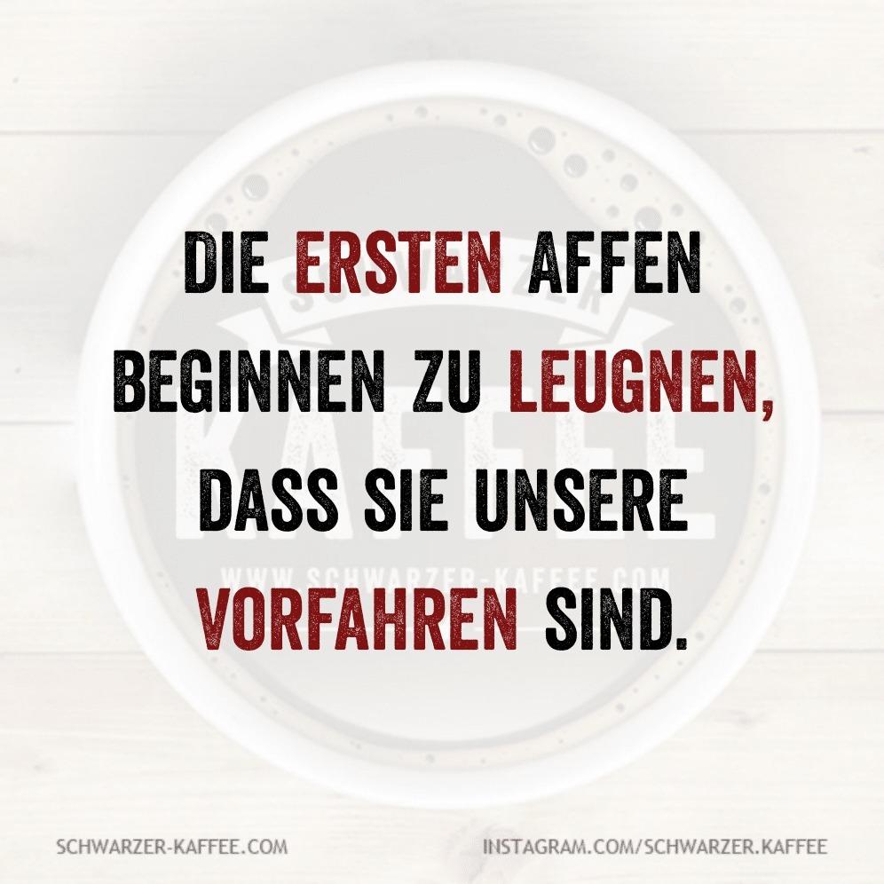 <a href="/Laserbrille/">Laserbrille 💚</a>