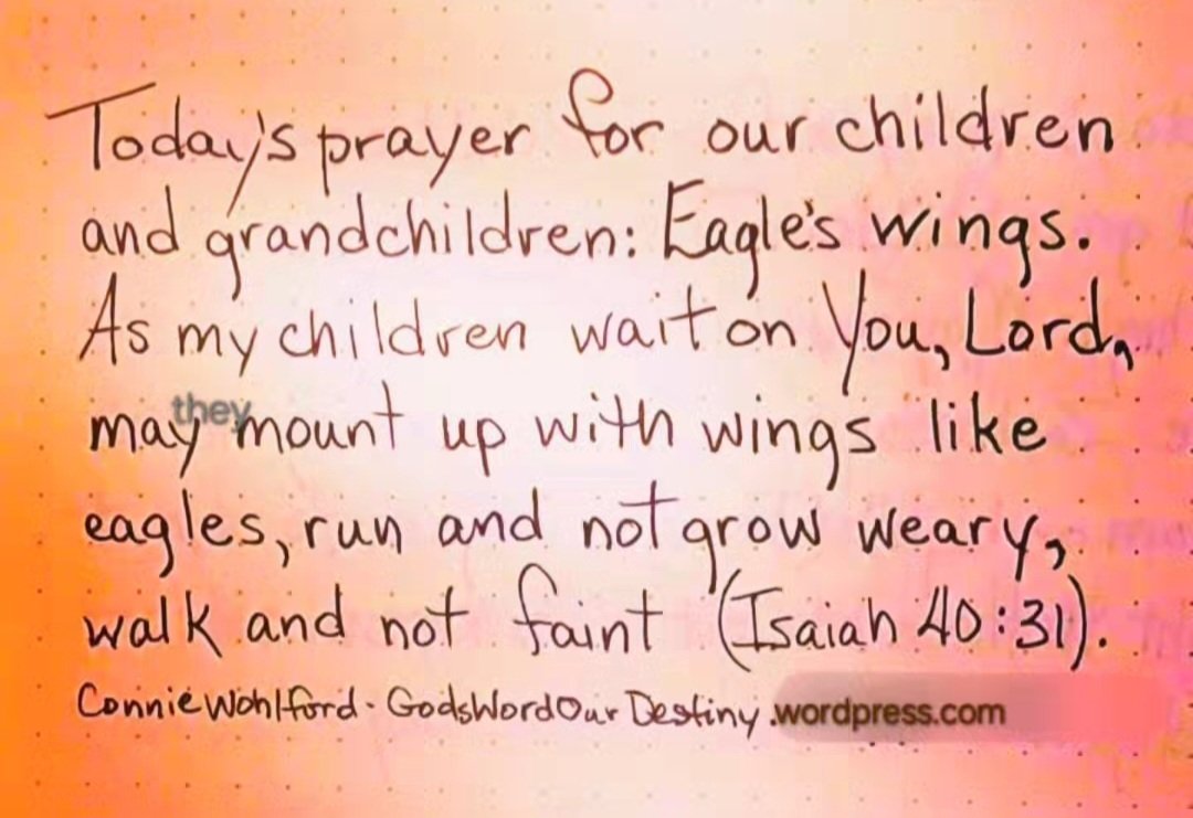 wohlford_connie's tweet photo. Today for our #children and #grandchildren: eagle's wings.
#eagleswings #mountup #GodsWordOurDestiny #notgrowweary #notfaint #Isaiah #prayforchildren #walk https://t.co/exXzjjnuoM https://t.co/4U8IYb32yF