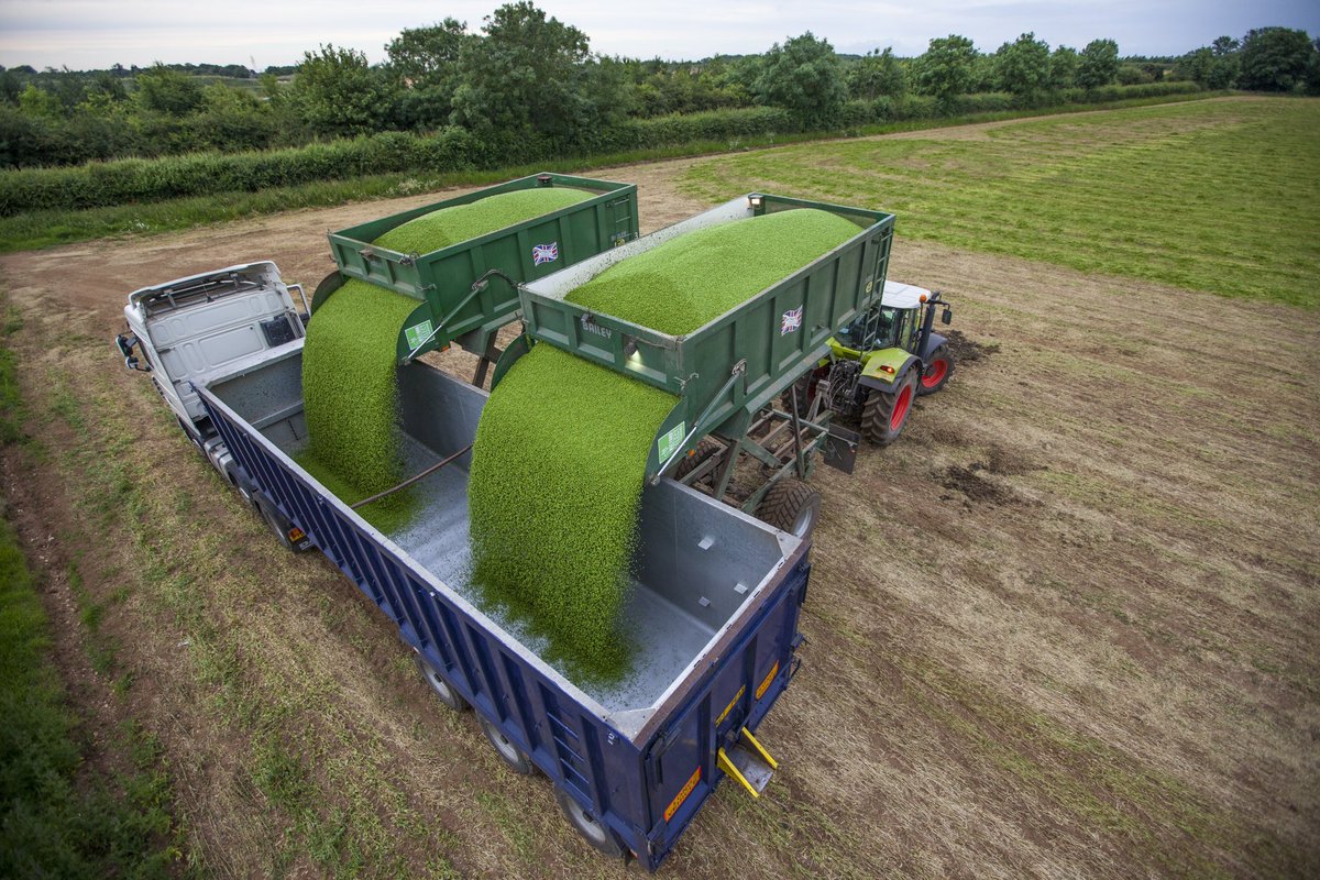 Farming Photography tweet media