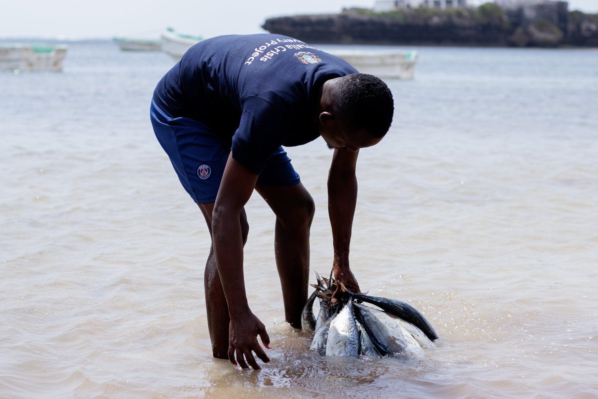 FAOSomalia's tweet photo. Under @ScrpSomalia, @FAOSomalia &amp; the Federal Govt of #Somalia empowers drought-affected coastal fishers in #Afgoye like Ismaciil &amp; Mohamed by providing #fishing inputs to increase fish landings, improve product quality &amp; strengthen #resilience against hazards🌊🐟 https://t.co/CHwUC0P9sI