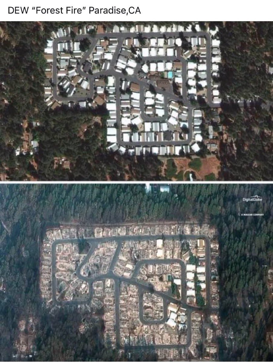rhowardbrowne's tweet photo. Please explain why a forest fire burns houses and leaves the forest intact #askingforafriend https://t.co/GLHUpAa6yJ