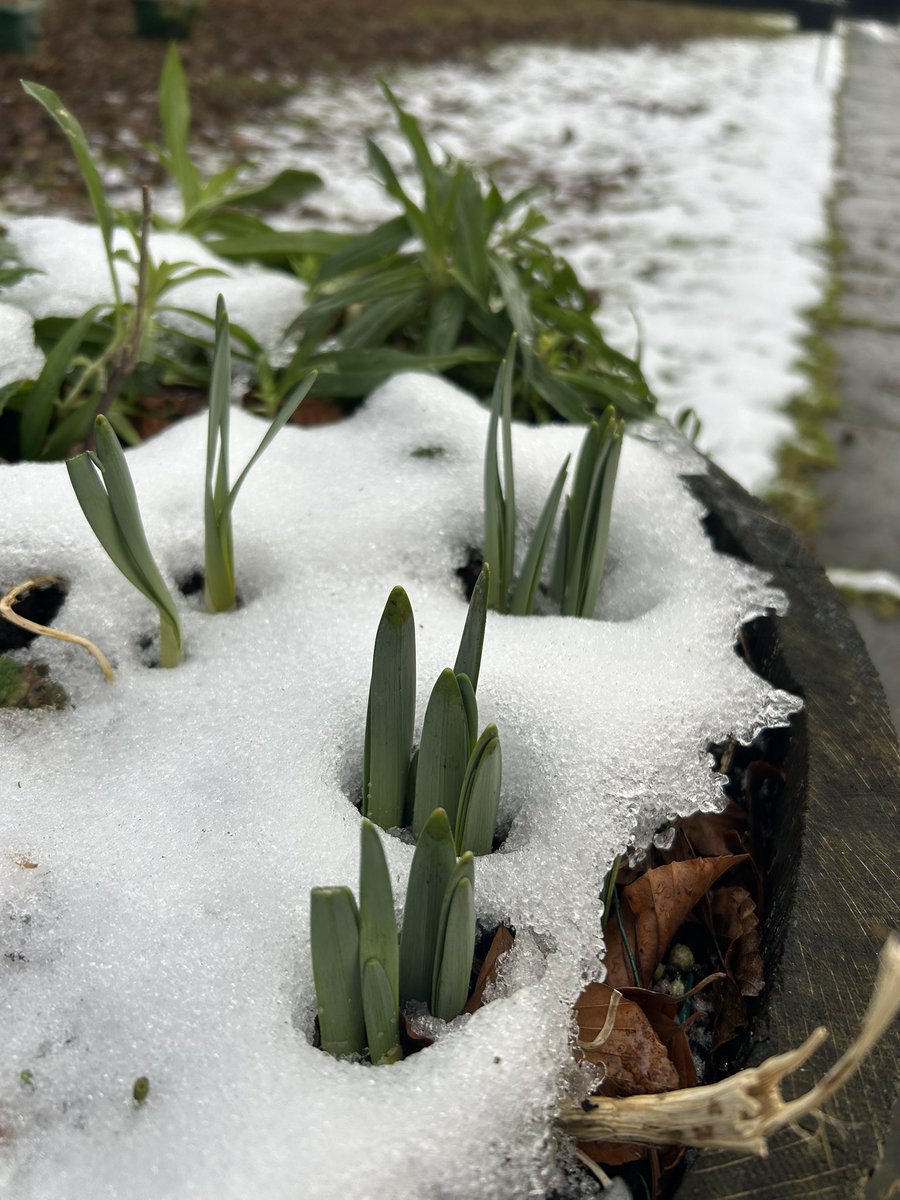 Friends of Hartwood Paupers Cemetery tweet media