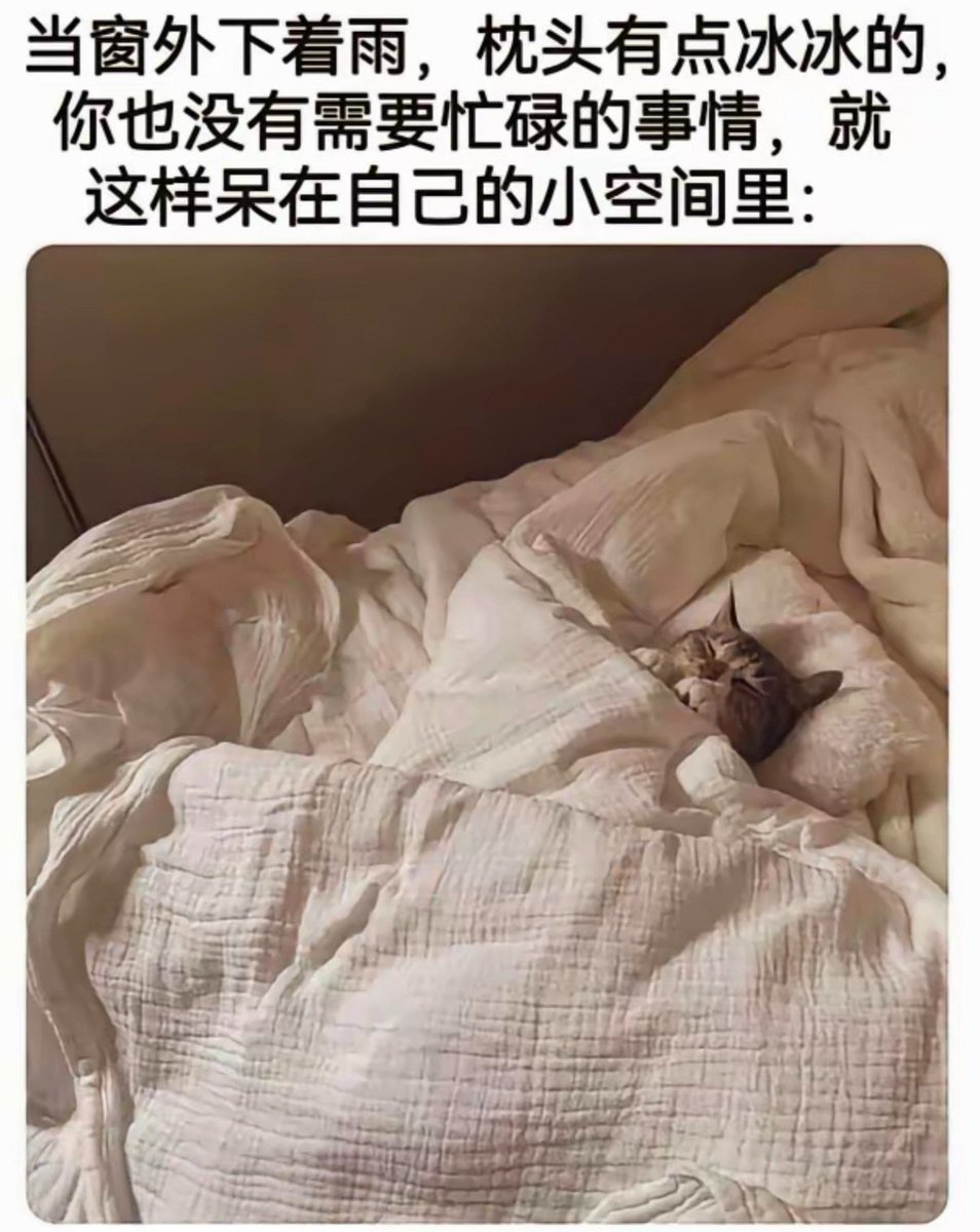 zhonghuifufu's tweet photo. https://t.co/yltHxdXbs0