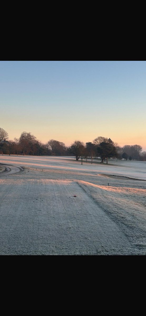 berto74cafc tweet media