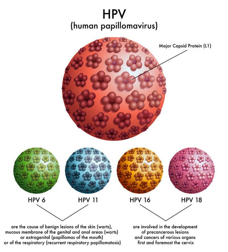 tenetsofpower's tweet photo. HPV: The Silent Killer Every Man Must Know About

Reckless sex isn’t just “fun”, it can ruin your health and your life. 

Let me tell you about HPV, a virus you’ve probably already come in contact with, its deadly risks, and how to protect yourself. 🧵👇 https://t.co/PJOm3zvCna