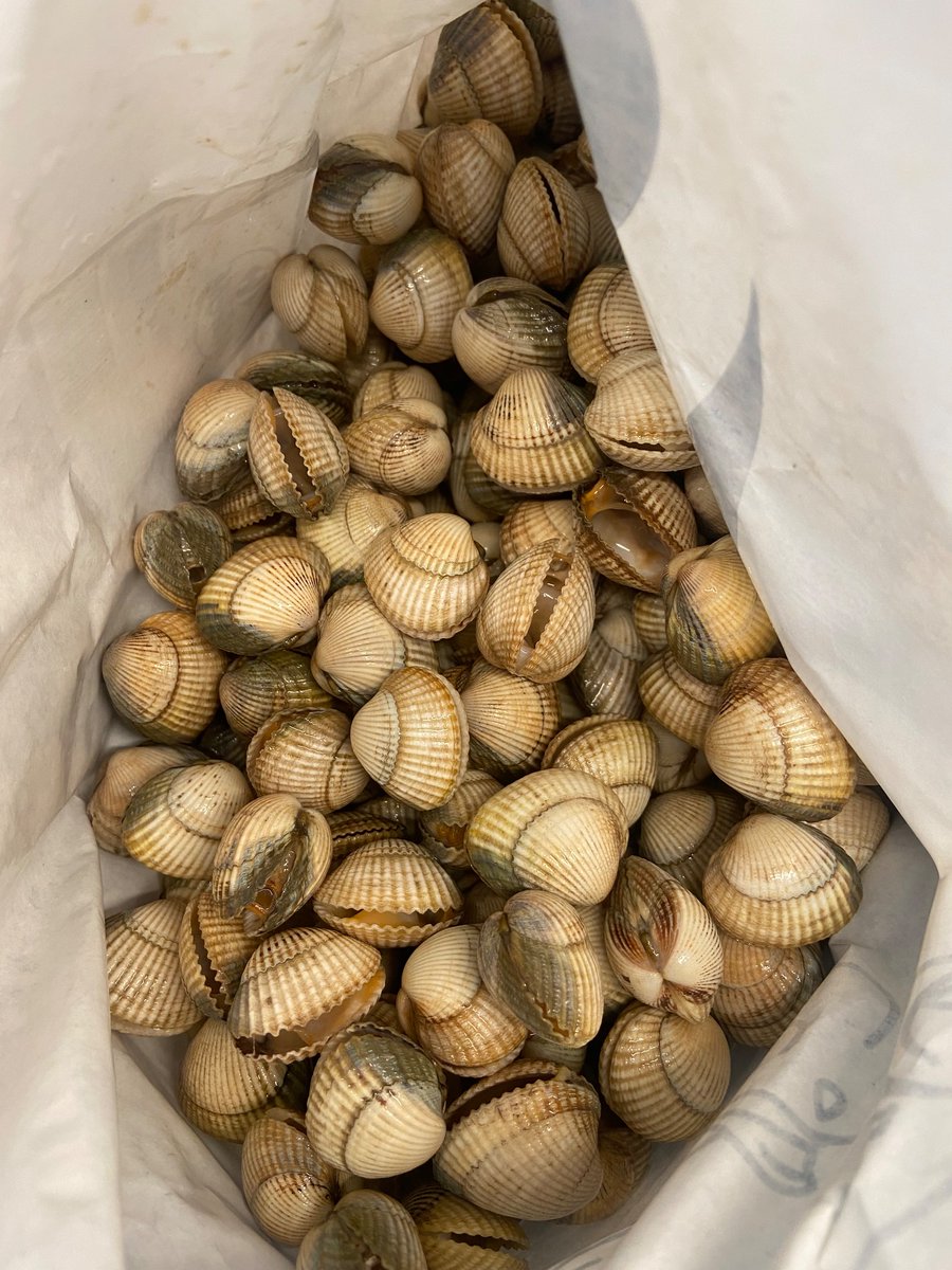 speo's tweet photo. “ Pour tester sa fraîcheur, la coque doit être bien fermée et impossible à ouvrir. Si elle est entrouverte ou ouverte, touchez-la : si elle se referme, elle est vivante et fraîche” @CarrefourFrance on peut dire qu’en est loin au Carrefour Nice TNL. https://t.co/UnQrzkDd3K