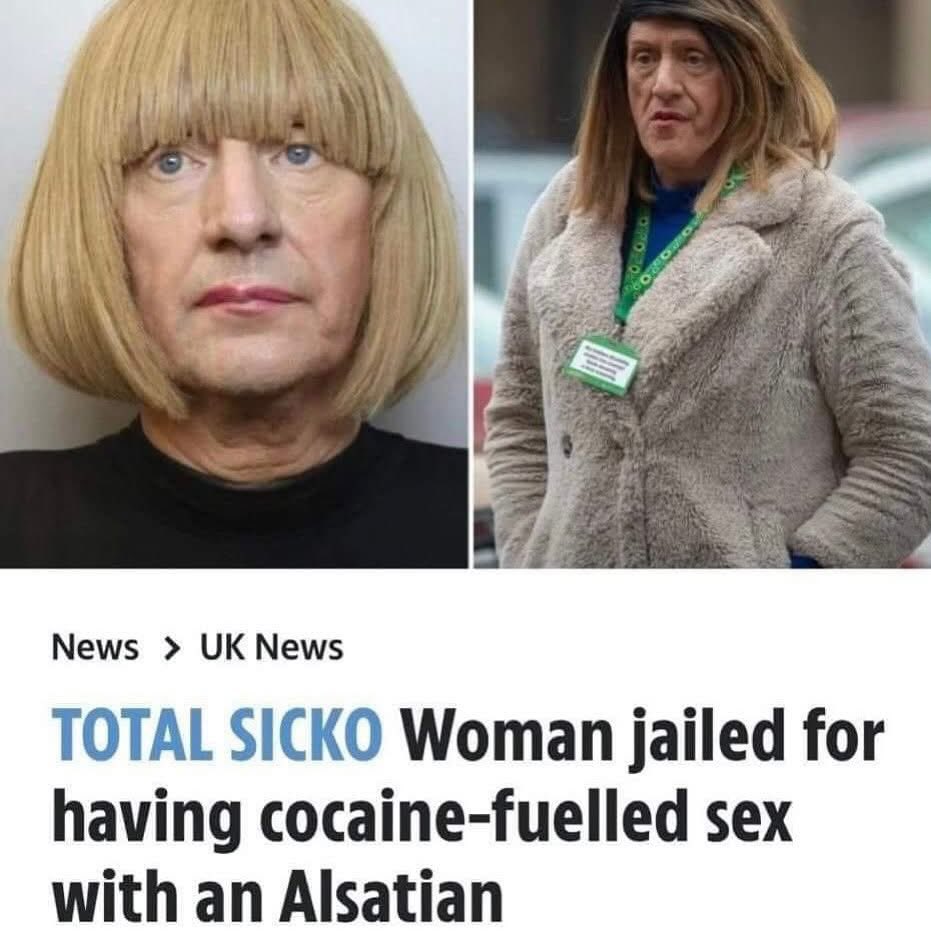 Max and Paddy Quotes tweet media