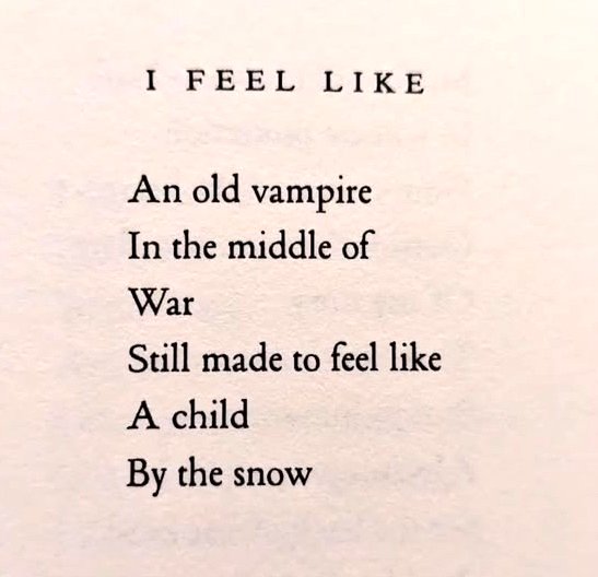 Özge Lena tweet media