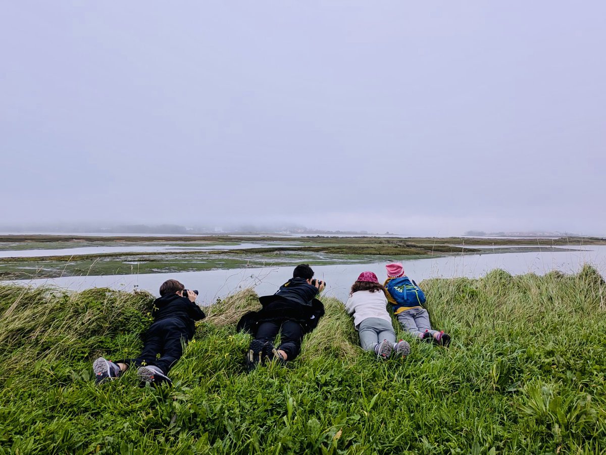 Actividad observación de aves I”I O GROVE” 🪶🦩🔭
11-01-2025
Gracias por la acogida #birdingalicia