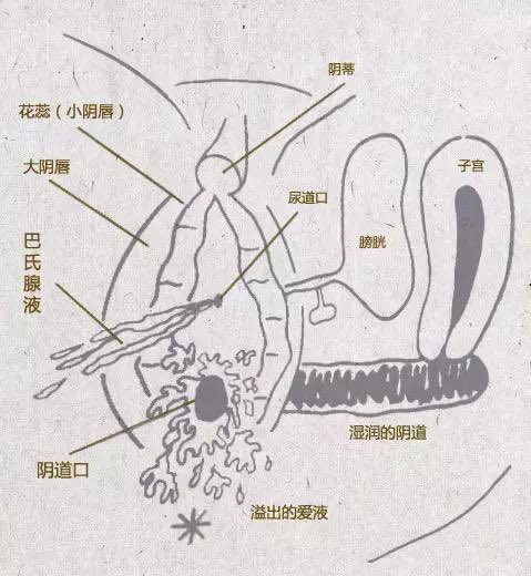 福利姬爆炒小鱿鱼分享的黄推图片2 - 网红私拍内容
