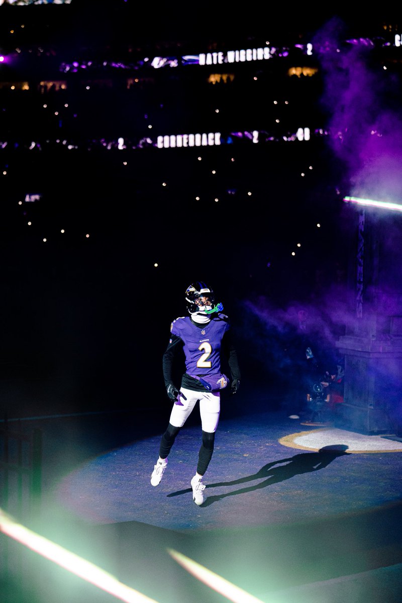 I really like this picture
