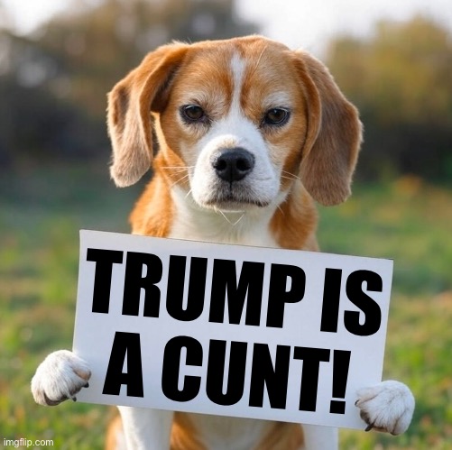 Jackalop256's tweet photo. 🇺🇸V🇺🇸

Good morning minions of democracy!

It’s Sunday and the shear tonnage of stupidity has me exhausted already. I am resting today. I will see you tomorrow for more tomfoolery and resistance!

Remember if a beagle thinks this then it must be true!

#TFGC https://t.co/2wLlslRaEP