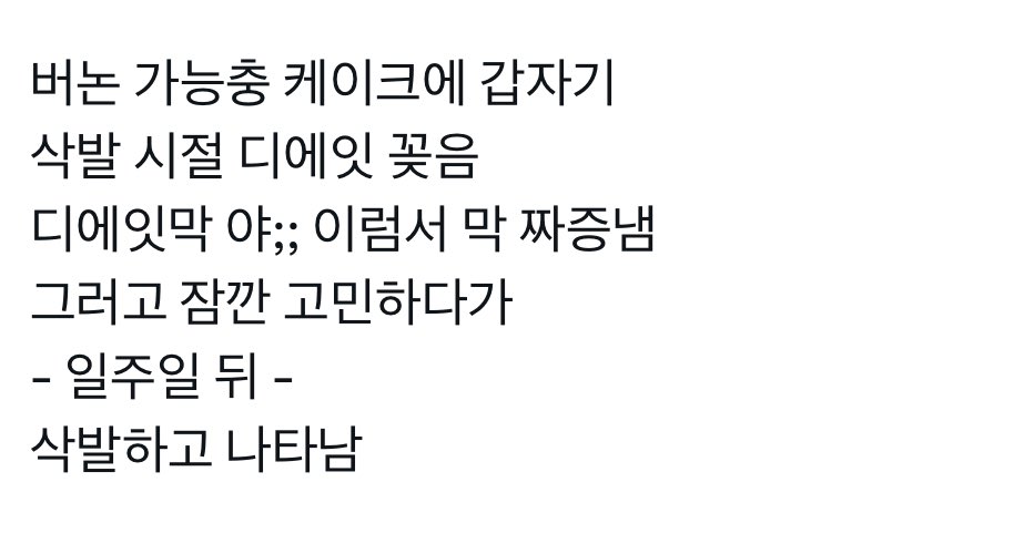 잇솔 가능충케이크