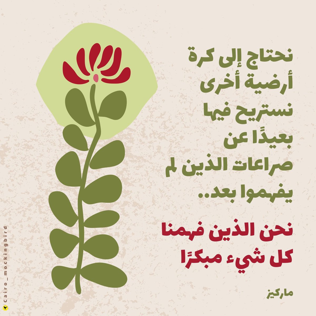 𝐂𝐚𝐢𝐫𝐨 𝐌𝐨𝐜𝐤𝐢𝐧𝐠𝐛𝐢𝐫𝐝 tweet media