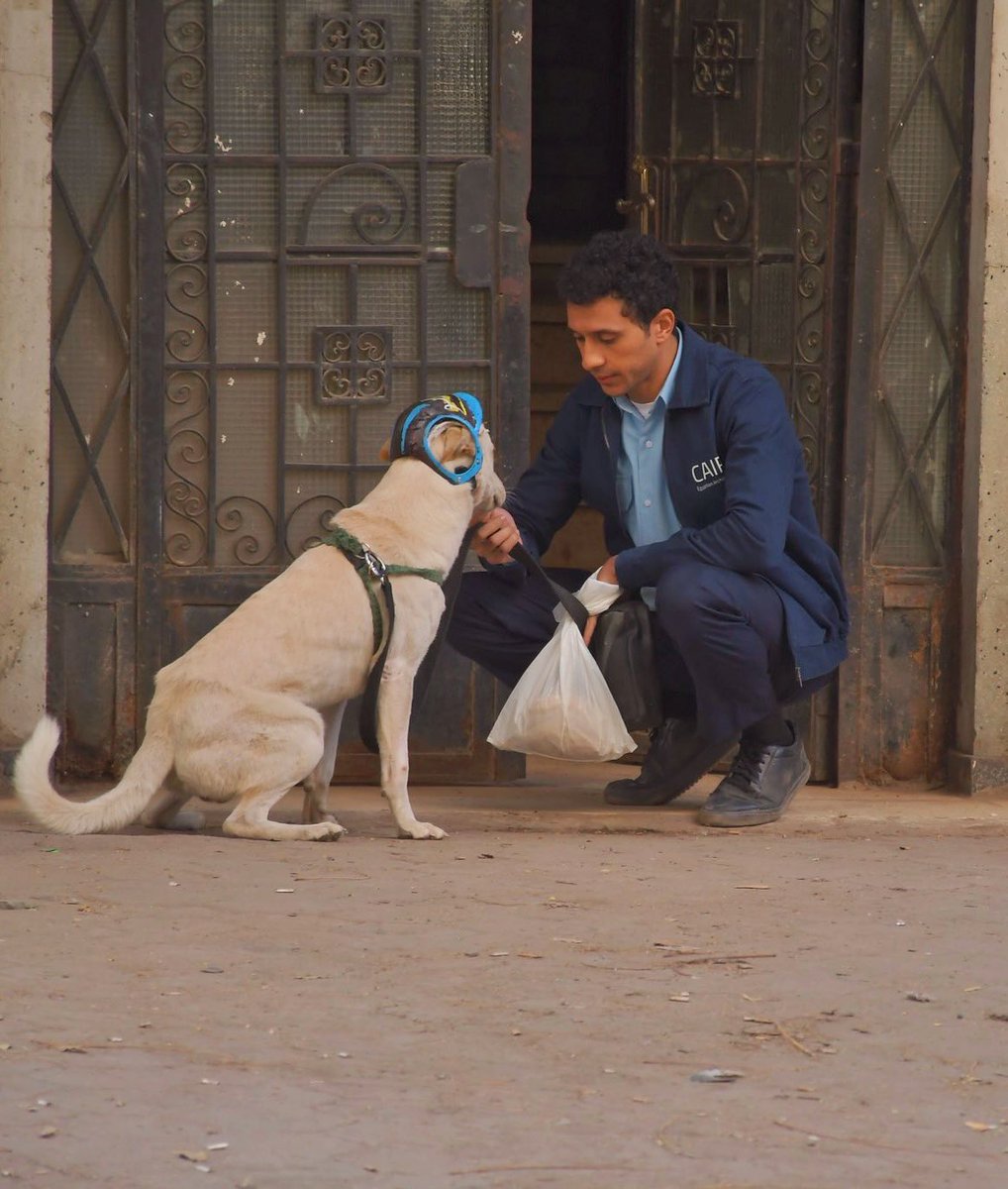 Essam Omar tweet media