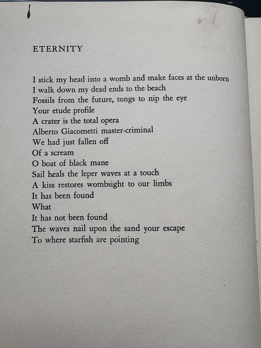 Bill Knott, from The Naomi Poems: Corpse and Beans