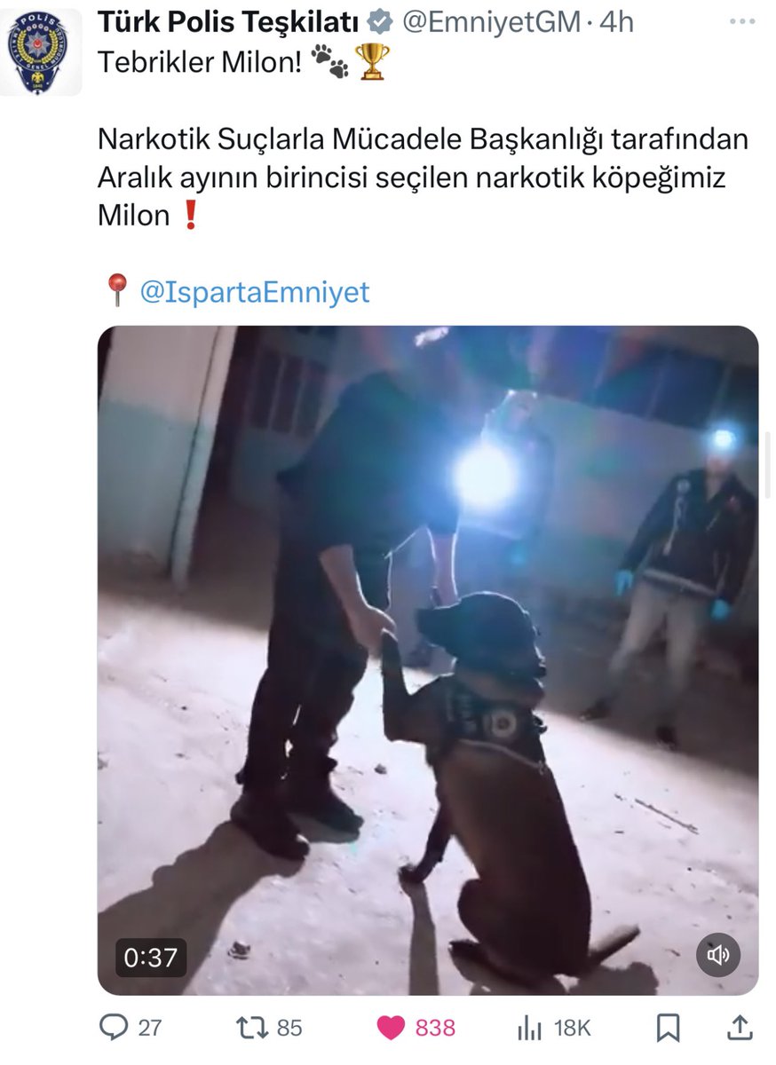 Murat_Efe_IE's tweet photo. Adı #Milon 🐺🐾🏆
Çocuklarımızı, gençlerimizi uyuşturucu belasından uzak tutmak için mücadele eden Polisimizin can dostu, yardımcısı🇹🇷
@EmniyetGM, Narkotik Suçlarla Mücadele Başkanlığı tarafından Aralık ayının birincisi seçilen, @IspartaEmniyet narkotik köpeği Milon gibi binlerce köpek insanı insandan koruyor, insanı yine insan ürünü zehirden, bombadan, her türlü kötülükten koruyor🙏 Evlerimizde sokaklarımızda yüz binlercesi, insana sevgiyi, şefkati, gülmeyi öğretiyor.
Topluma, ülkeye, yaşama zerre katkısı olmayanlar, bu hayvanları katlediyor, katledilmesi için çırpınıyor, üretiyor, satıyor, tecavüz ediyor….
Can dostlarımızı tüm bu kötülüklerden ve kötü insanlardan korumak da bizim görevimiz 🧿🇹🇷💙🐺🐶😻
#SokakHayvanlarıSahipsizDeğil #satinalmasahiplen #sokakhayvanlarısahipsizdeğildir