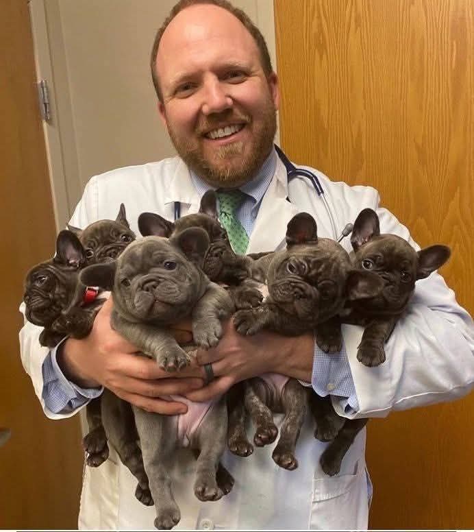 Frenchie_fans's tweet photo. Great photograph! ❤️ https://t.co/QRCdpVjZ84