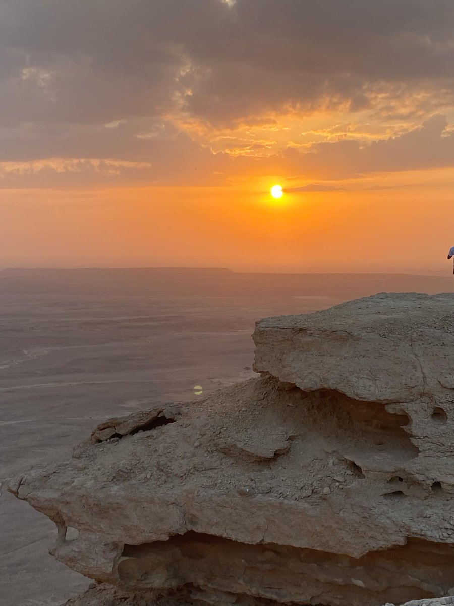 Rachel Hamilton tweet media