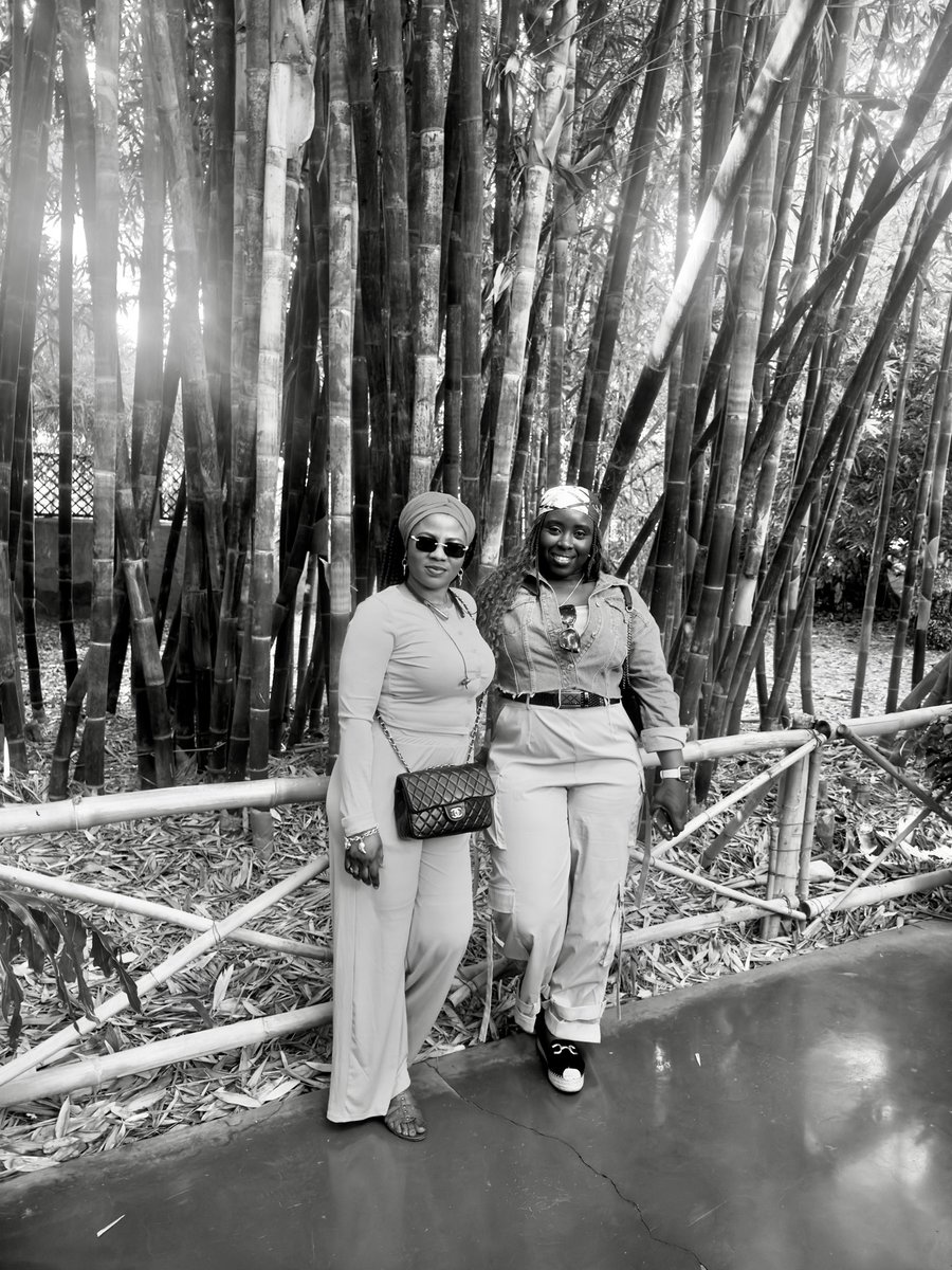 Dion_Y2k's tweet photo. #Jardinmajorelle Morocco https://t.co/eYovCndkeM