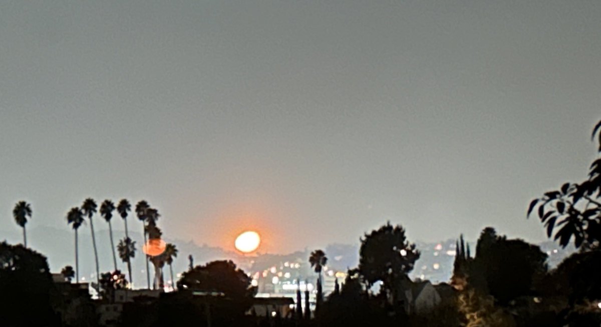 such an intense week

my old neighborhood in Altadena, where my kids played when they were little, just *gone*

I saw so much loss and so much giving…when people had nothing more to share, they shared hugs and hope for better days

be ok, LA, you’re still beautiful