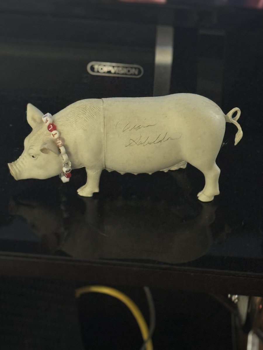 The White Sow tweet media